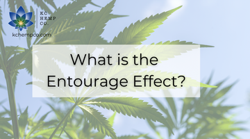What is the Entourage Effect - KC Hemp Co.®