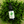 Load image into Gallery viewer, Organic CBD Oil Tincture | THC Free | Mint Flavor - KC Hemp Co.®
