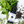 Load image into Gallery viewer, Serenity | CBN Full Spectrum Tincture + terpenes - KC Hemp Co.®