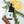 Load image into Gallery viewer, Vitality | CBG Full Spectrum Tincture + terpenes - KC Hemp Co.®