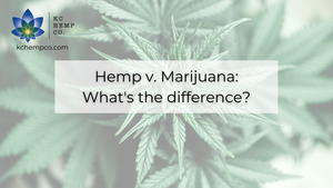 What's the Difference between Hemp and Marijuana? - KC Hemp Co.®