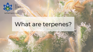 What are Terpenes? - KC Hemp Co.®